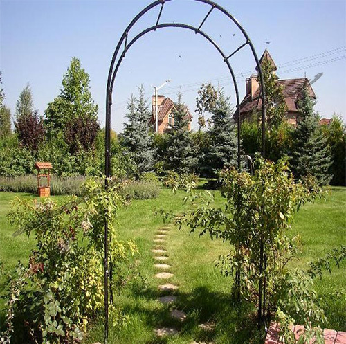 Садовая арка Садовая арка